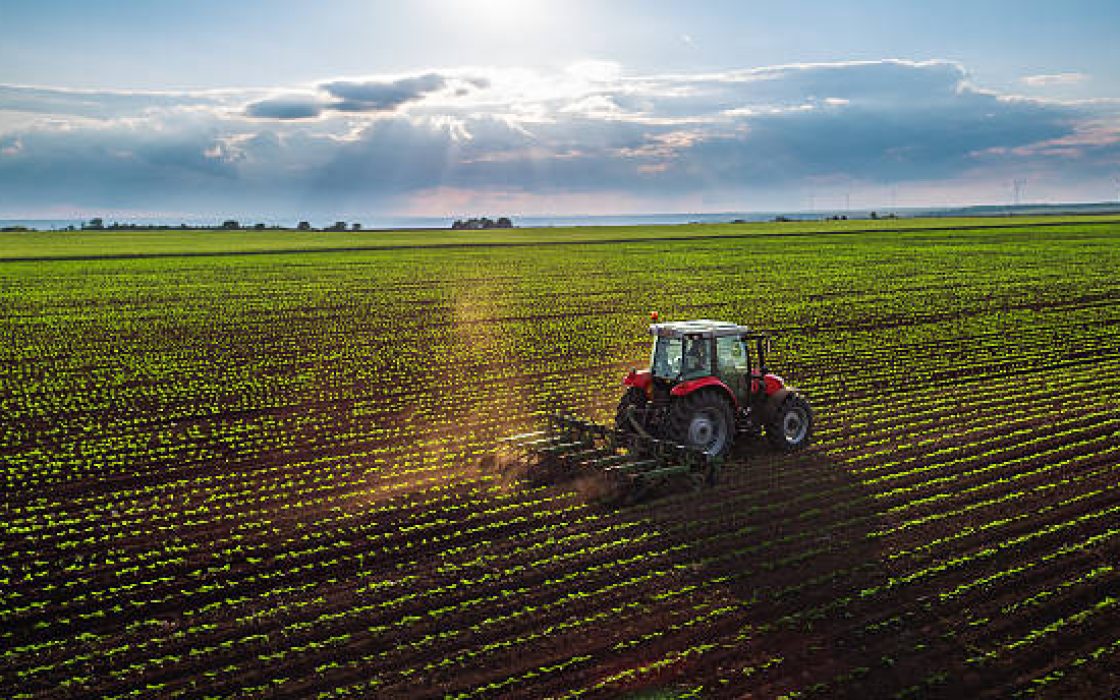 Agriculture Land, Outer Ring Road, Karimnagar,
