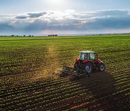 Agriculture Land, Outer Ring Road, Karimnagar,